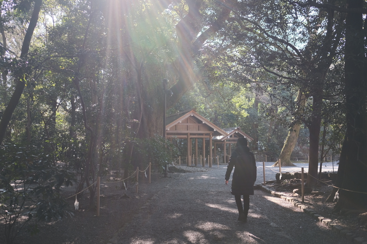 f:id:meganeya-moai:20200204141434j:plain