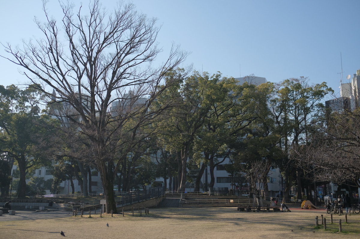 f:id:meganeya-moai:20200213150010j:plain f:id:meganeya-moai:20200213150010j:plain