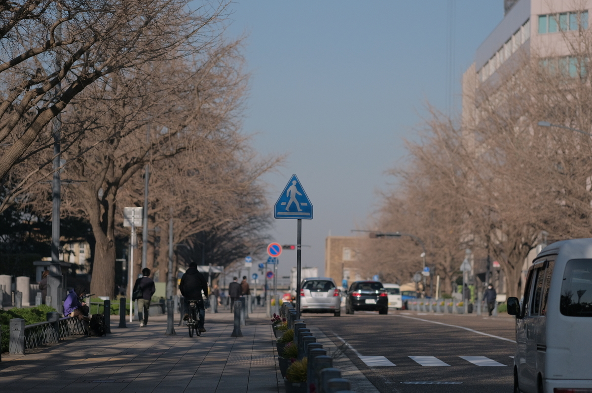 f:id:meganeya-moai:20200213150911j:plain f:id:meganeya-moai:20200213150911j:plain