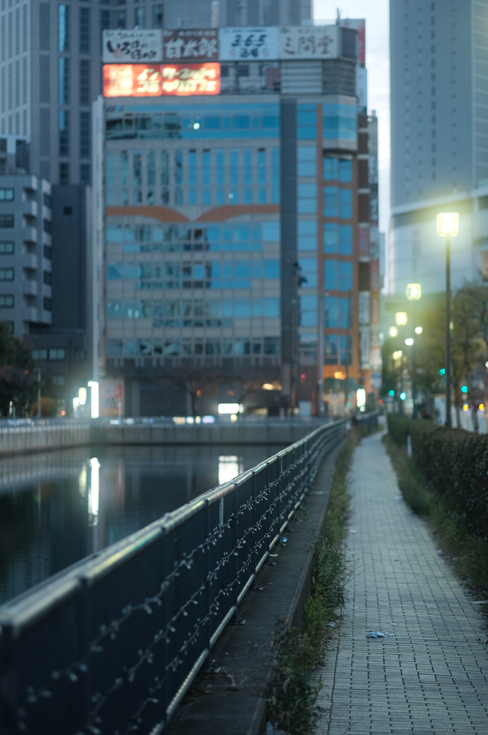 f:id:meganeya-moai:20201130090945j:image
