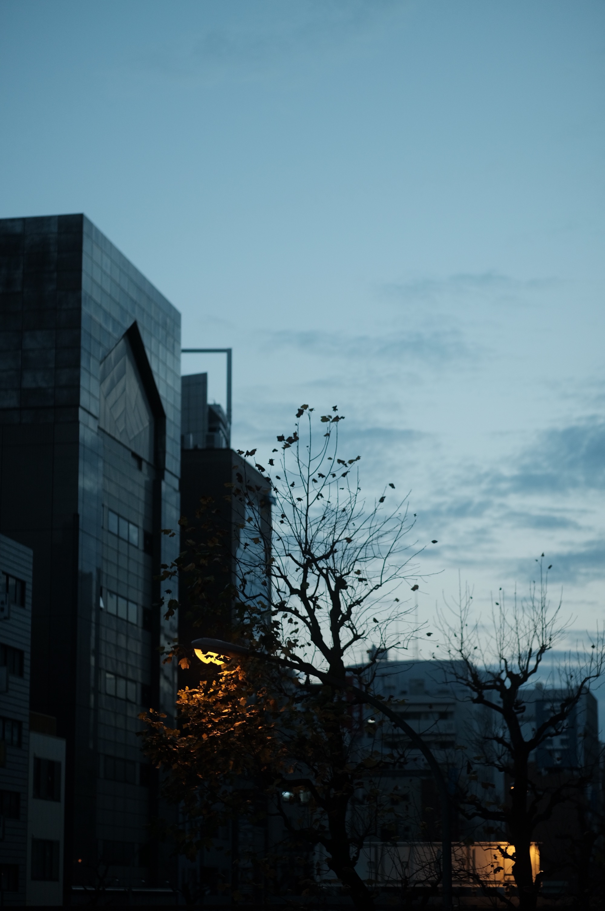 f:id:meganeya-moai:20201130091050j:image