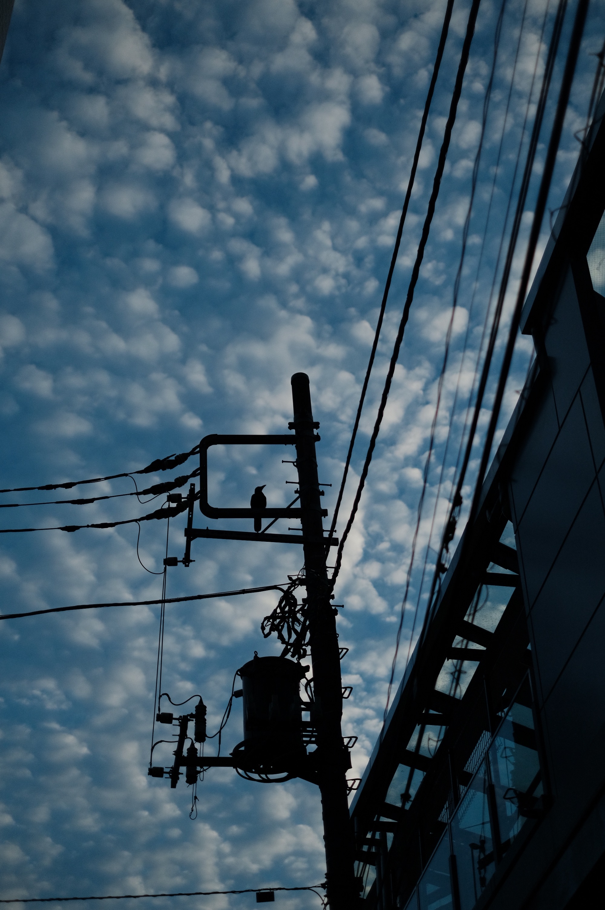 f:id:meganeya-moai:20201130091255j:image