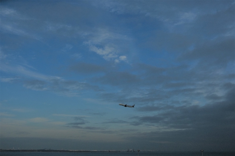f:id:meganeya-moai:20201210151926j:plain