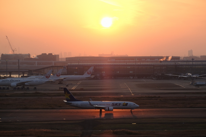 f:id:meganeya-moai:20201210161337j:plain