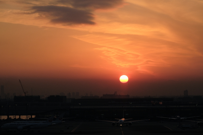 f:id:meganeya-moai:20201210161906j:plain