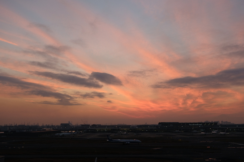 f:id:meganeya-moai:20201210163501j:plain