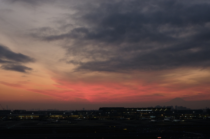 f:id:meganeya-moai:20201210164312j:plain