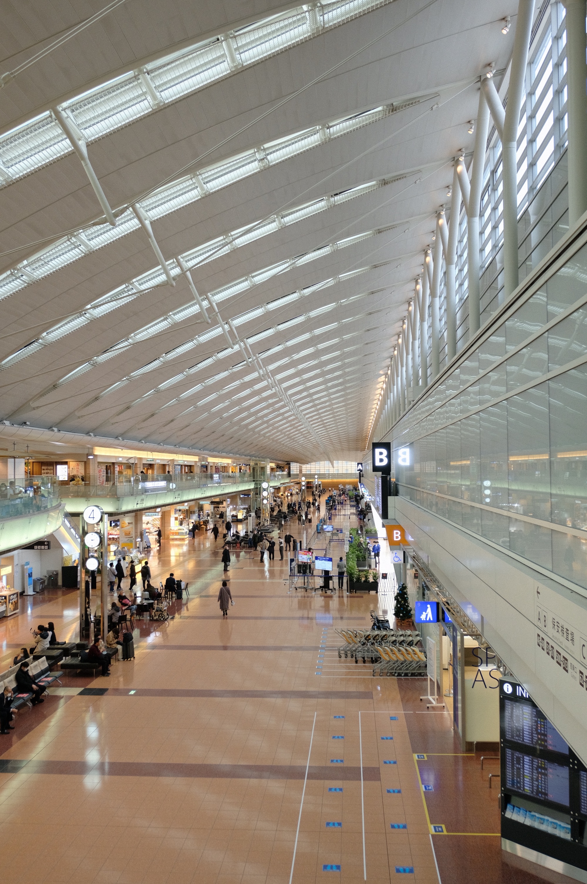 f:id:meganeya-moai:20201211055021j:image