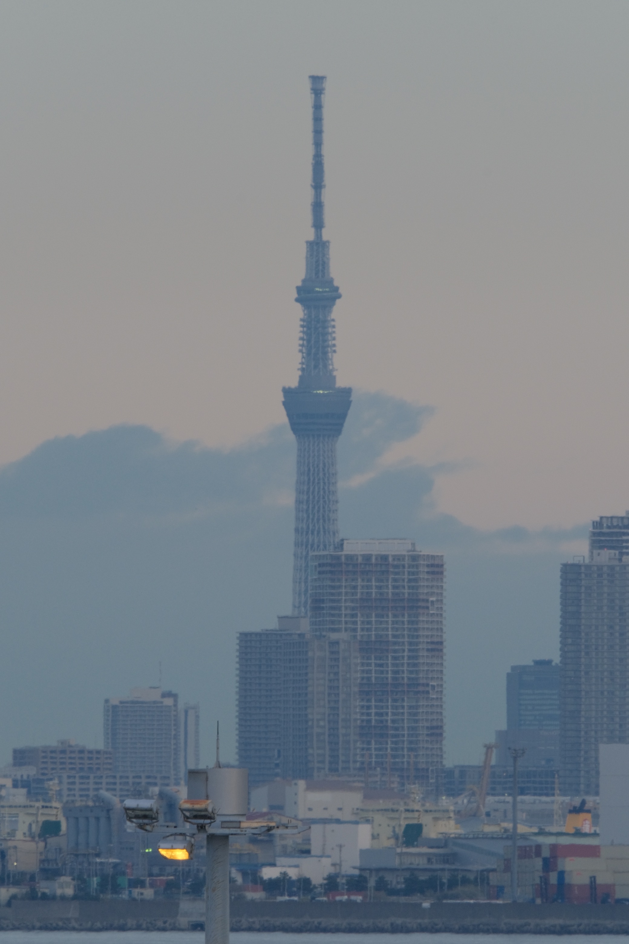 f:id:meganeya-moai:20210104143725j:image f:id:meganeya-moai:20210104143725j:image