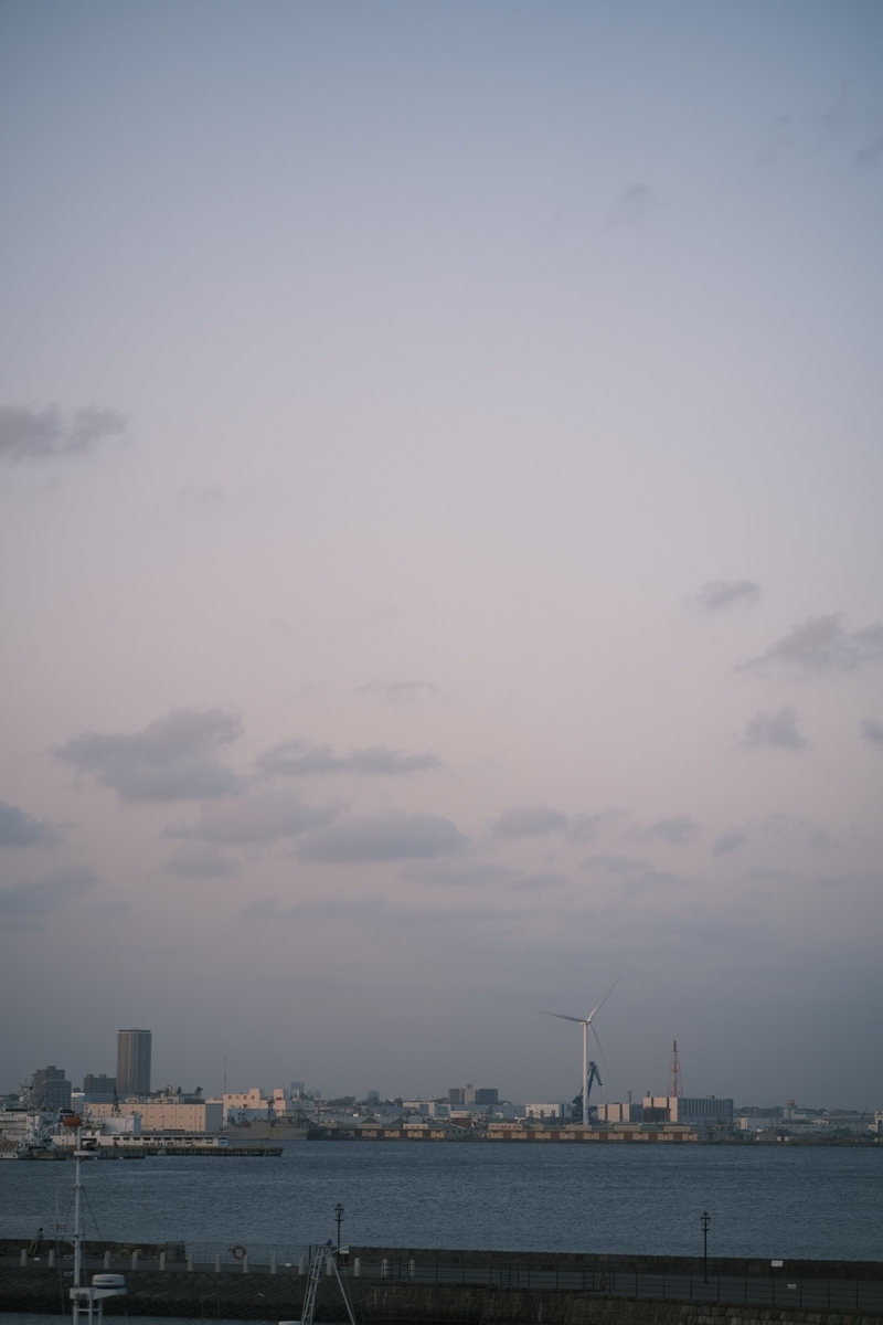 f:id:meganeya-moai:20210318173813j:plain