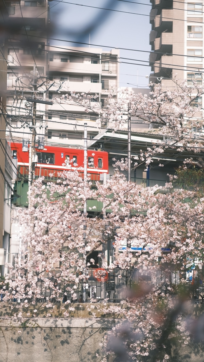 f:id:meganeya-moai:20210331081123j:plain