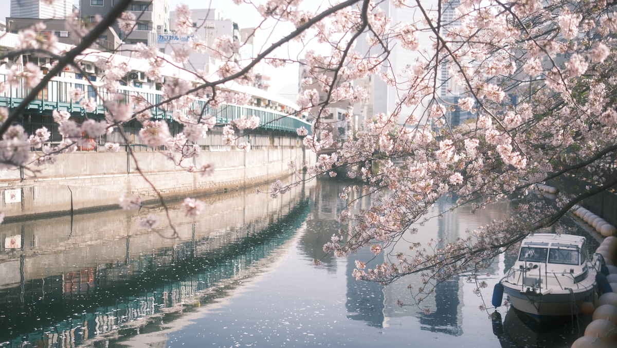 f:id:meganeya-moai:20210331082433j:plain