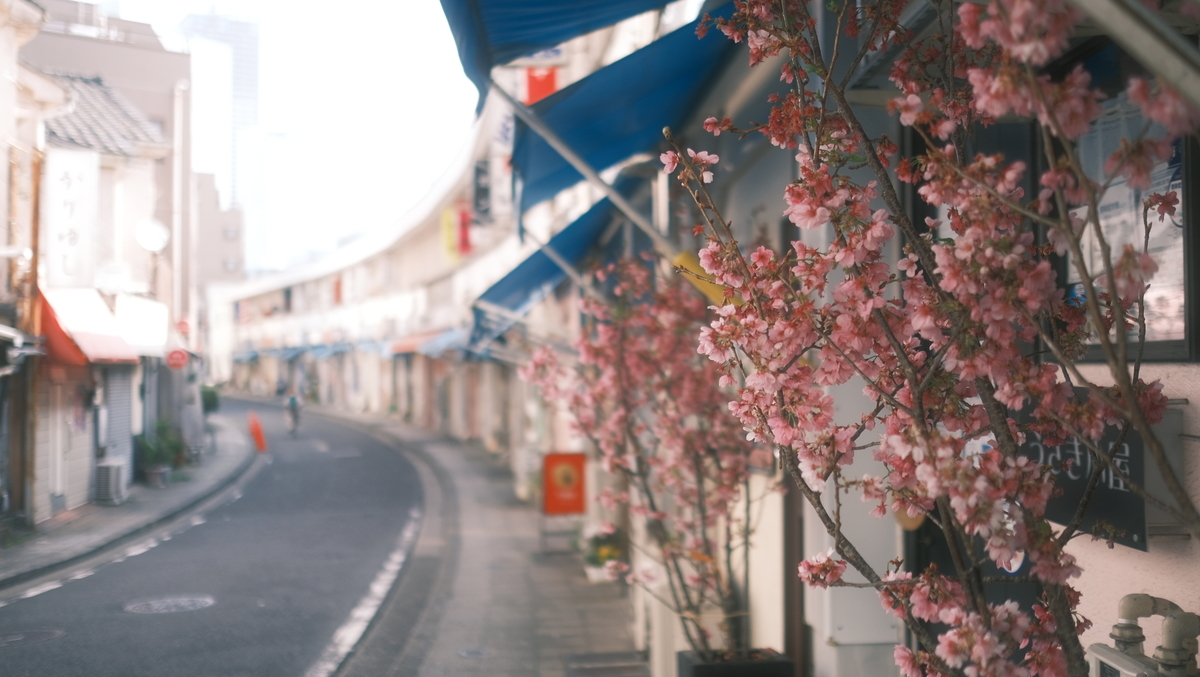 f:id:meganeya-moai:20210331082708j:plain