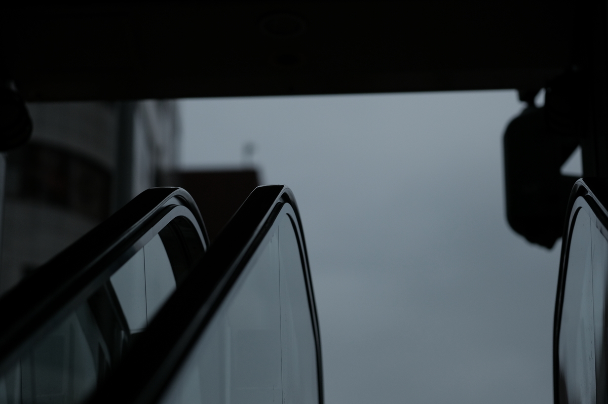 f:id:meganeya-moai:20210511154515j:plain