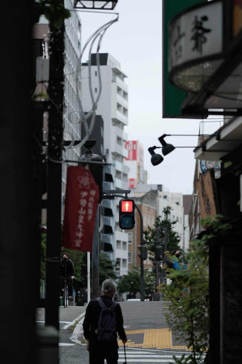 f:id:meganeya-moai:20210511155434j:plain