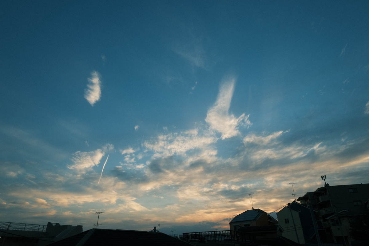 f:id:meganeya-moai:20210607184147j:plain