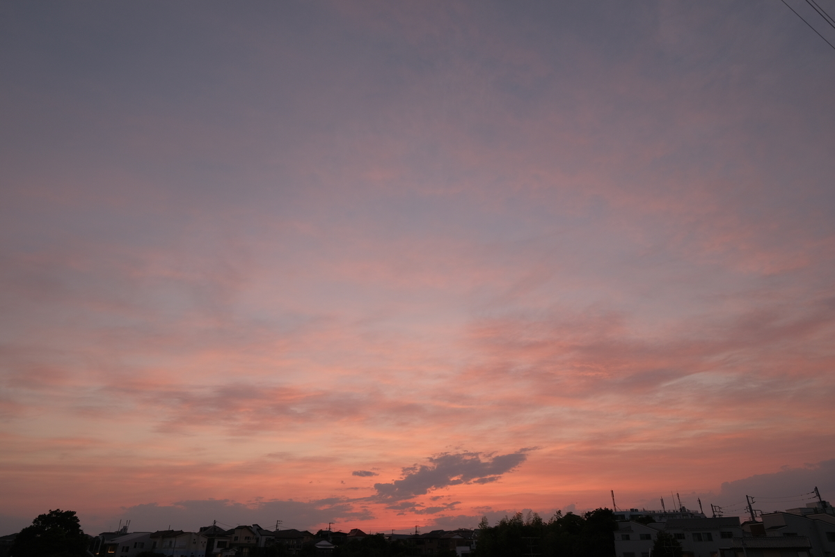 f:id:meganeya-moai:20210607190017j:plain