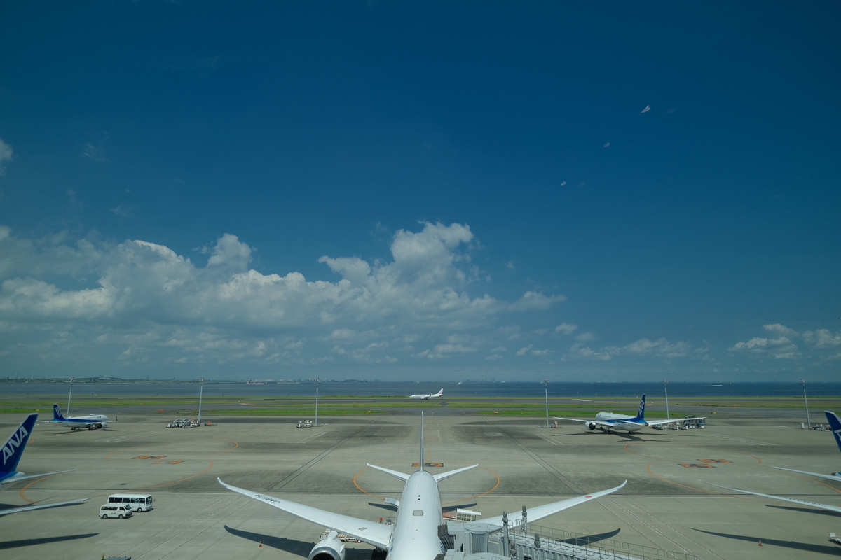 f:id:meganeya-moai:20210731132736j:plain