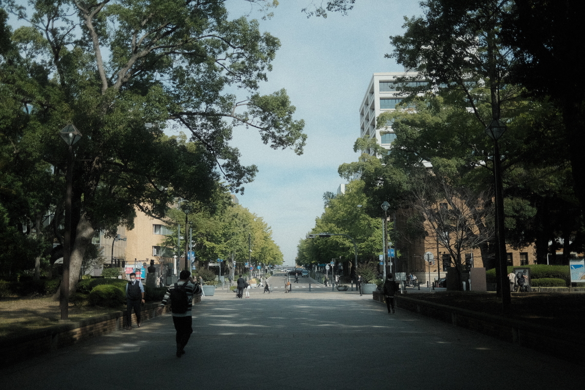 f:id:meganeya-moai:20211101111935j:plain