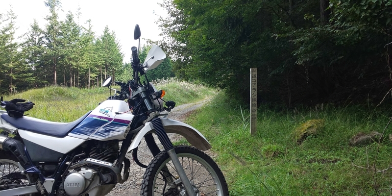 f:id:meganeyamada:20200222220716j:plain