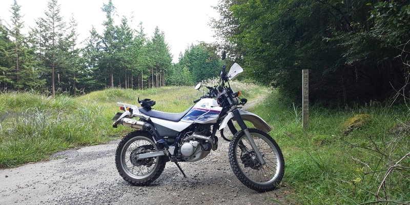 f:id:meganeyamada:20200222220801j:plain