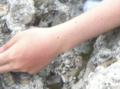 20131204081159