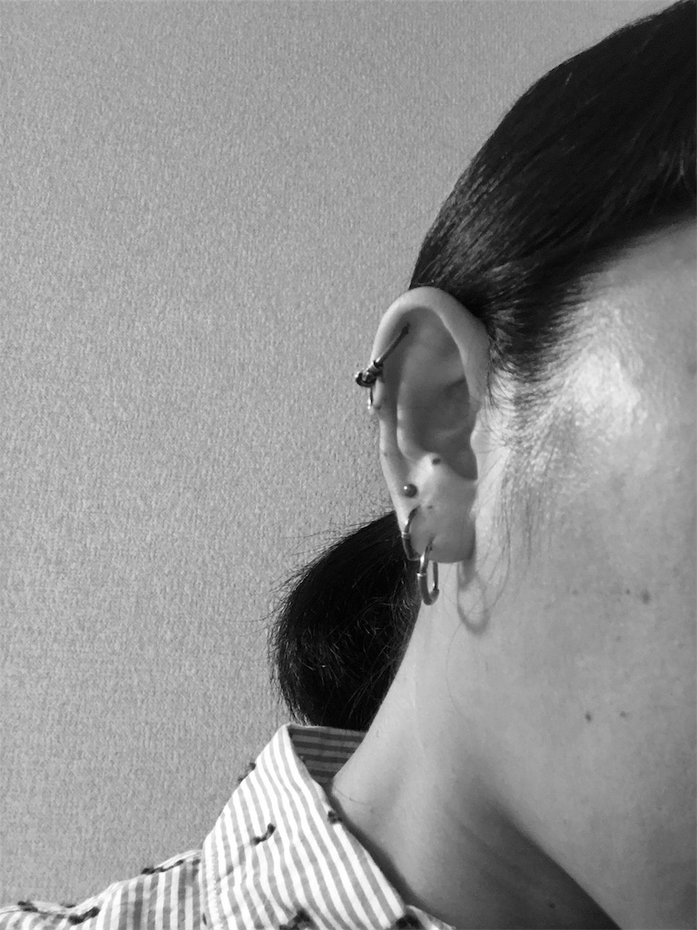 f:id:megdashorty:20191120181732j:image