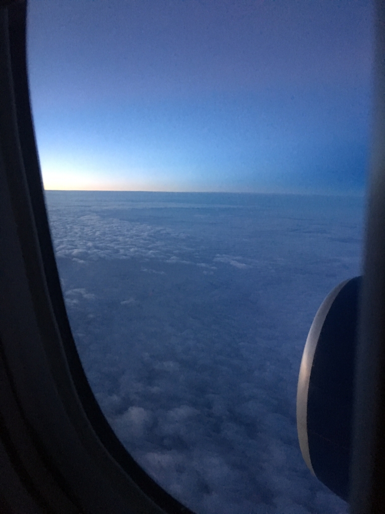 f:id:megmientus:20170204135341j:plain f:id:megmientus:20170204135341j:plain