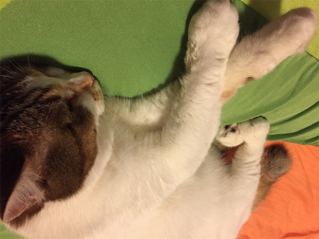 f:id:megmikke:20170725111343j:image f:id:megmikke:20170725111343j:image