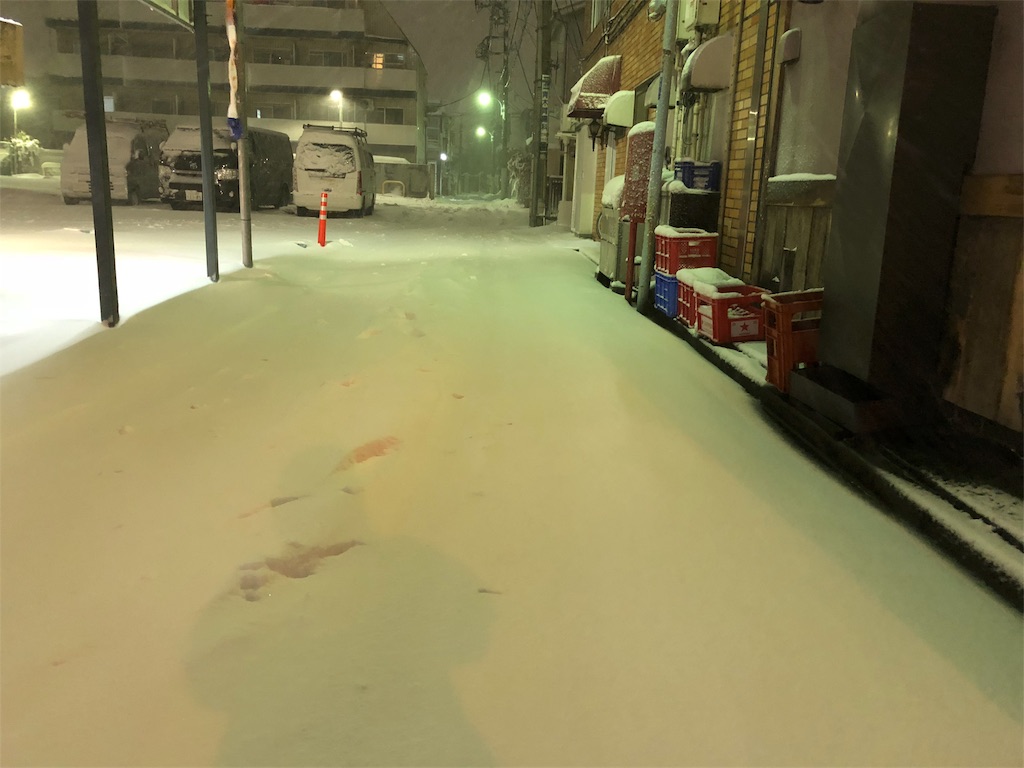 f:id:megmikke:20180123202341j:image