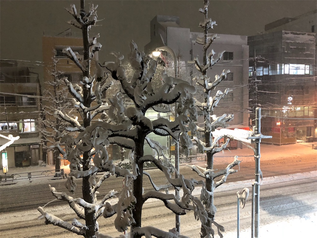 f:id:megmikke:20180123202501j:image