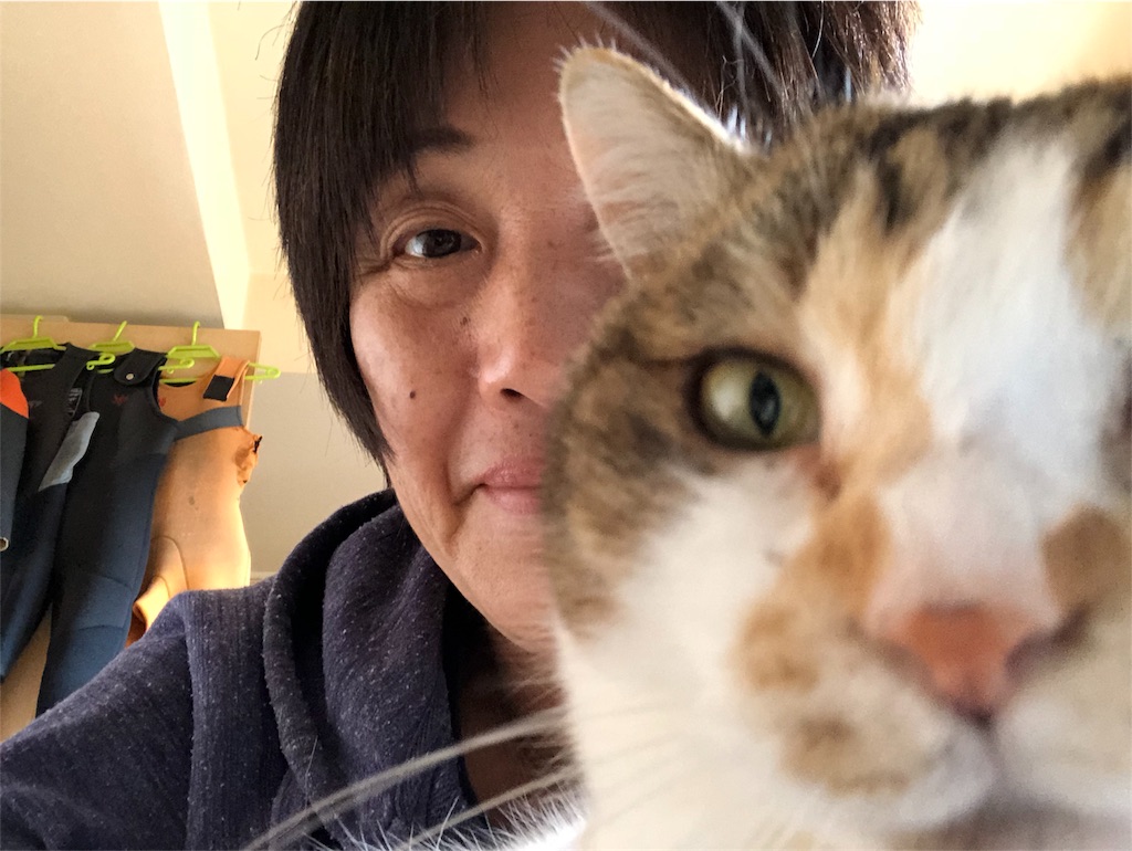 f:id:megmikke:20180213011916j:image