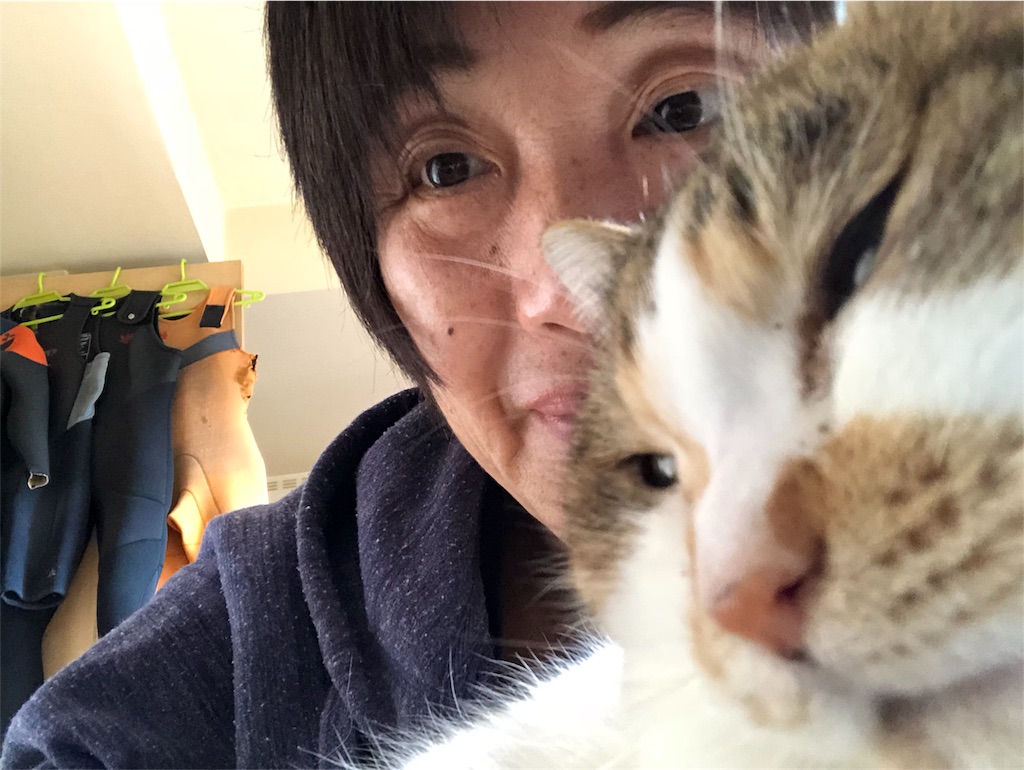f:id:megmikke:20180213012204j:image
