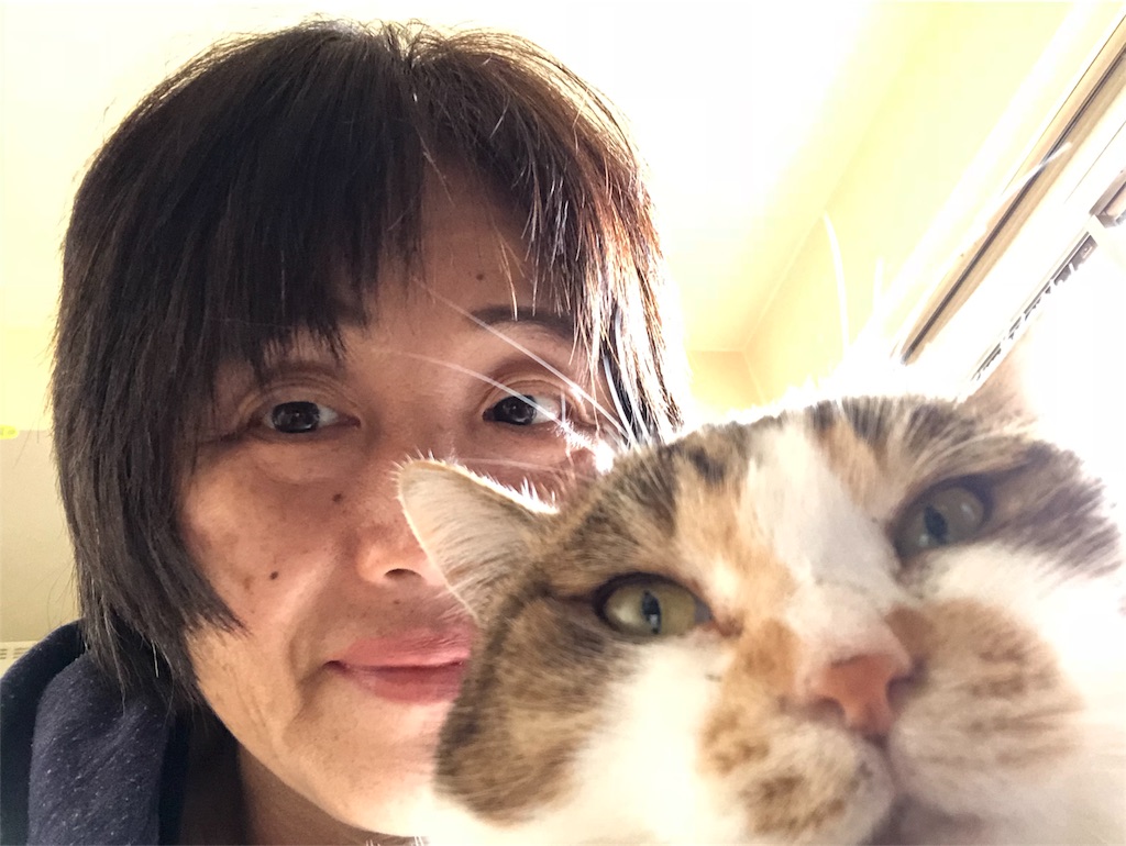f:id:megmikke:20180213012354j:image