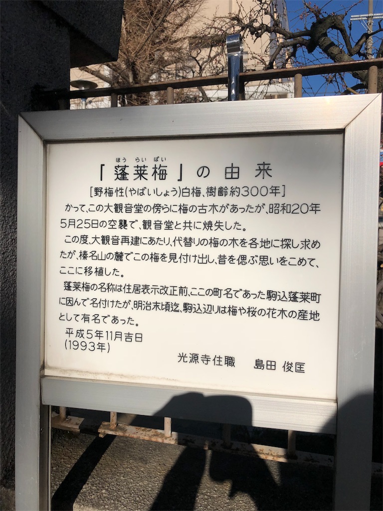 f:id:megmikke:20180308155253j:image