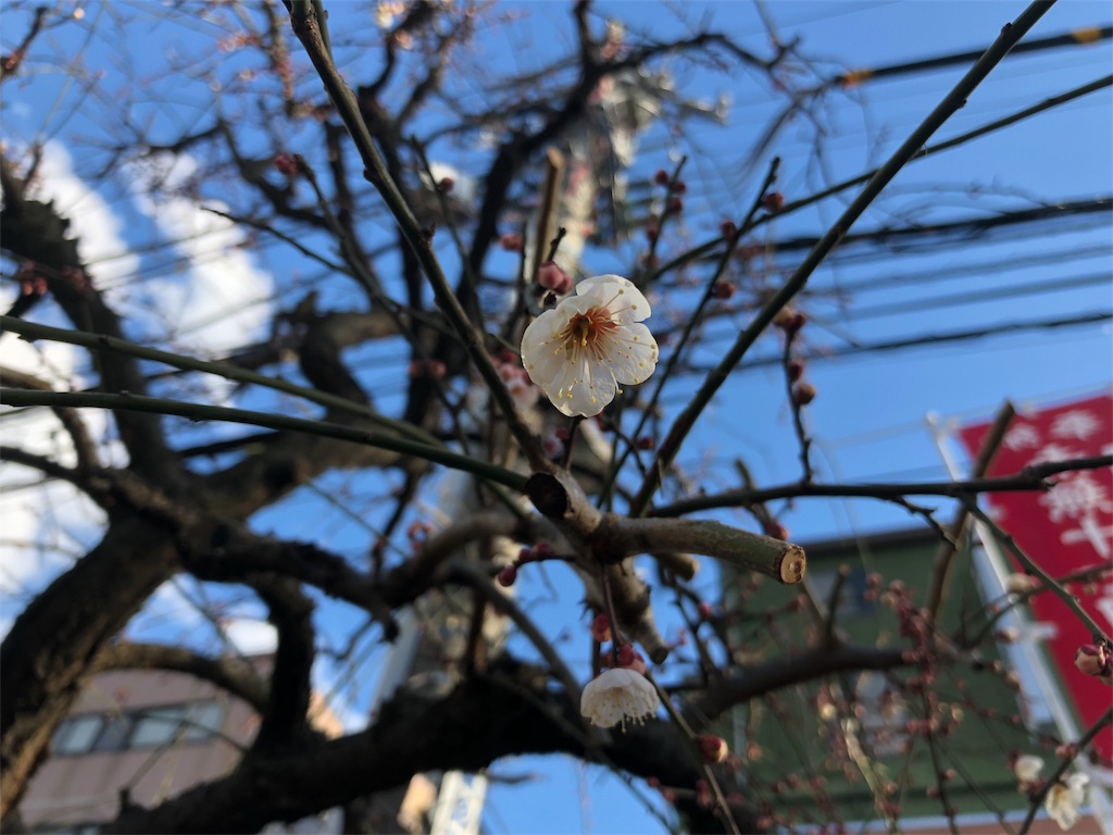 f:id:megmikke:20180314180619j:image f:id:megmikke:20180314180619j:image