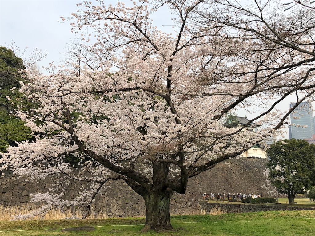 f:id:megmikke:20180402142346j:image