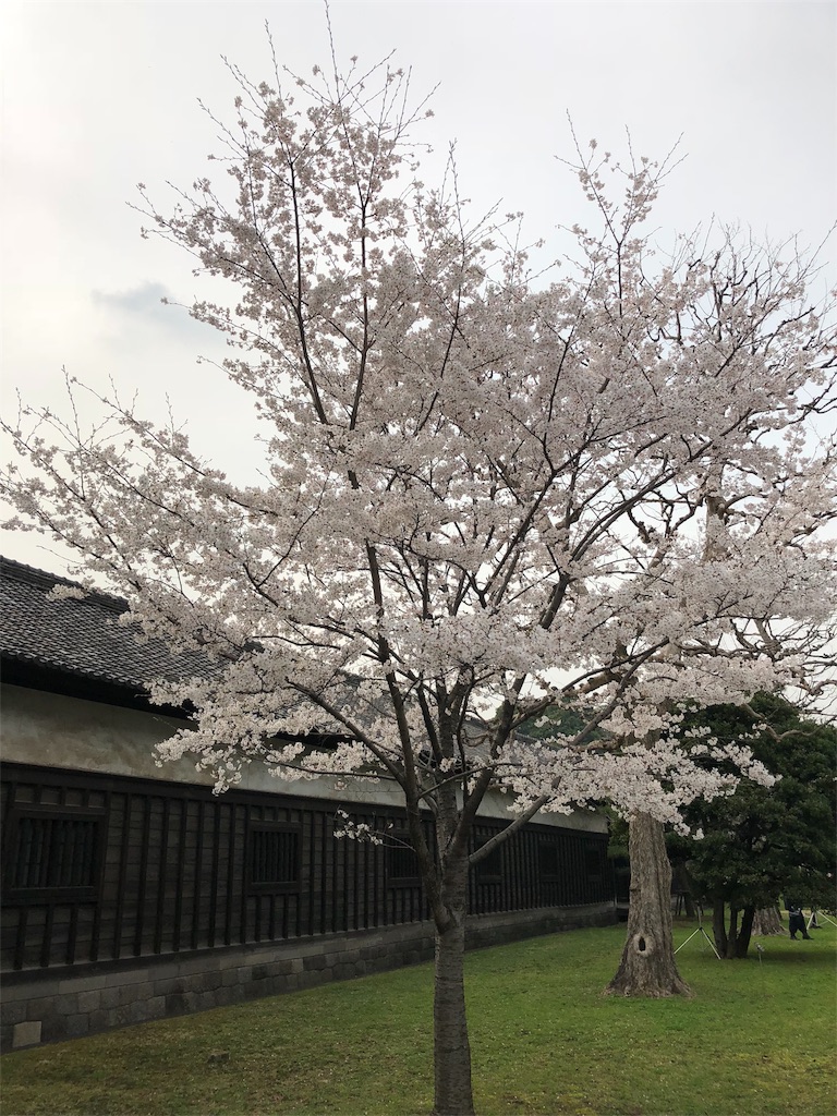 f:id:megmikke:20180402185722j:image
