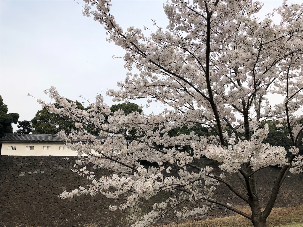 f:id:megmikke:20180402185805j:image