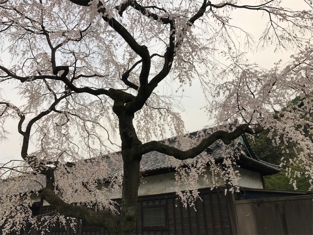 f:id:megmikke:20180402192913j:image
