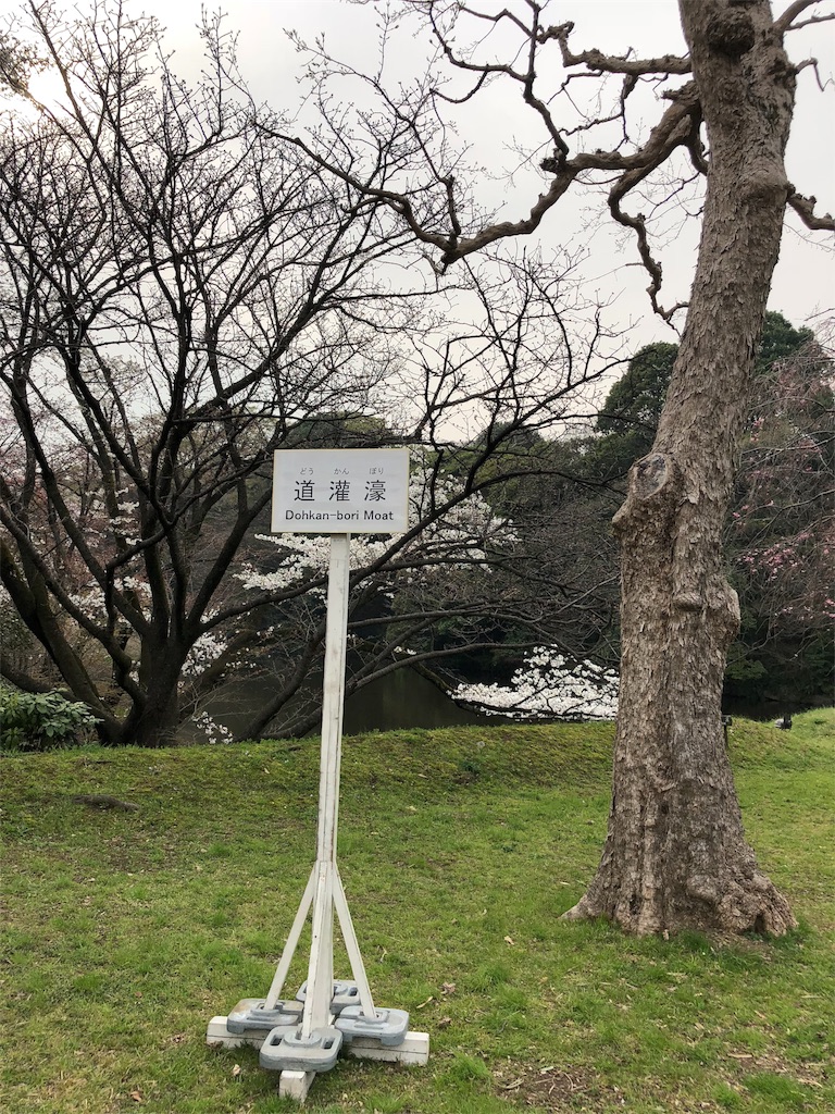 f:id:megmikke:20180402192957j:image