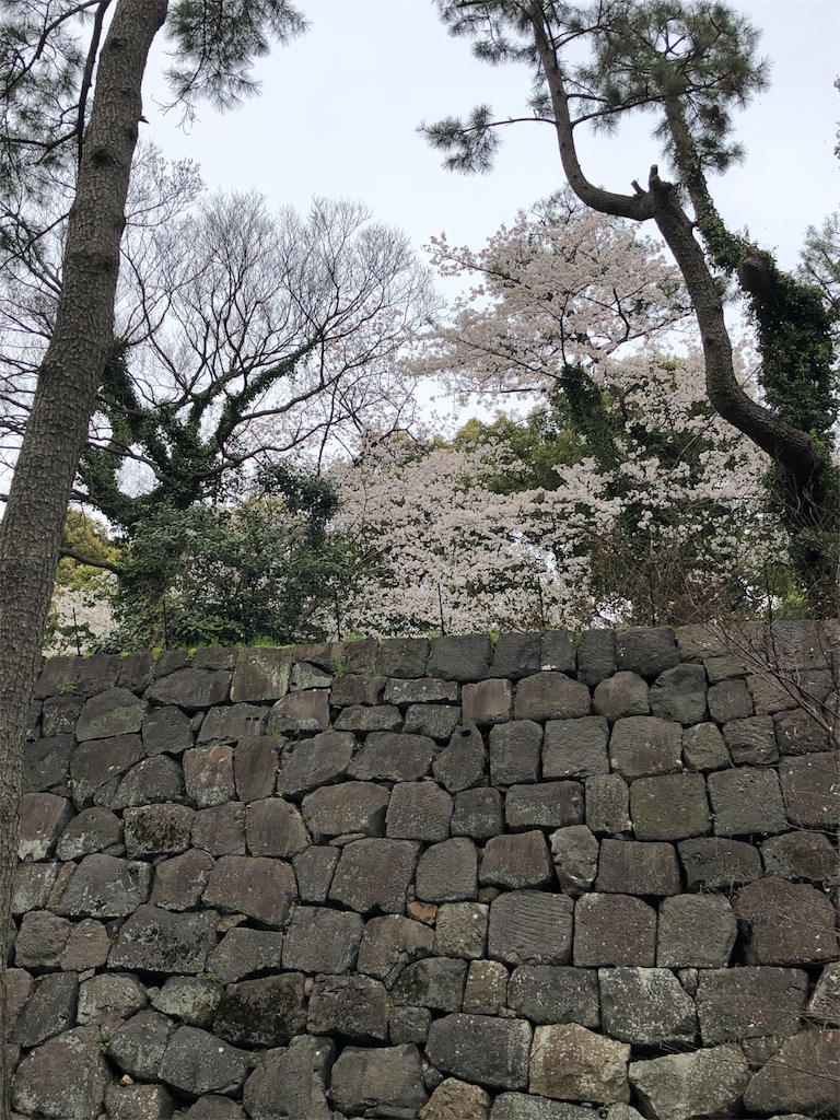 f:id:megmikke:20180402195645j:image