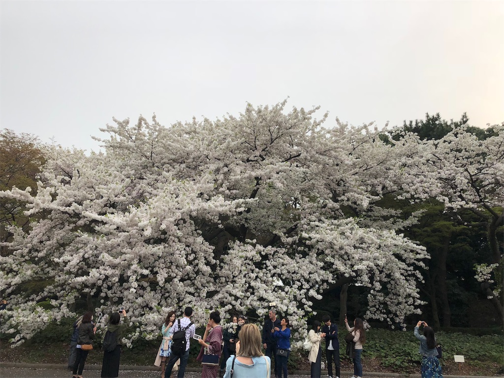 f:id:megmikke:20180402211142j:image