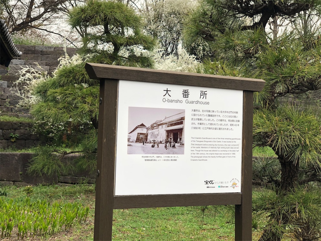 18 さくら 人生初の皇居乾通り一般公開 検索よりも実体験 食べる 観る 見る 波に乗る ネコはミッケ