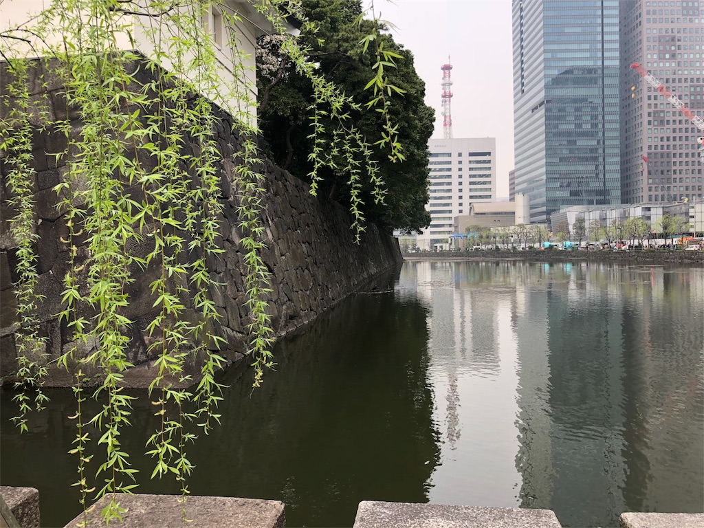 f:id:megmikke:20180402221022j:image