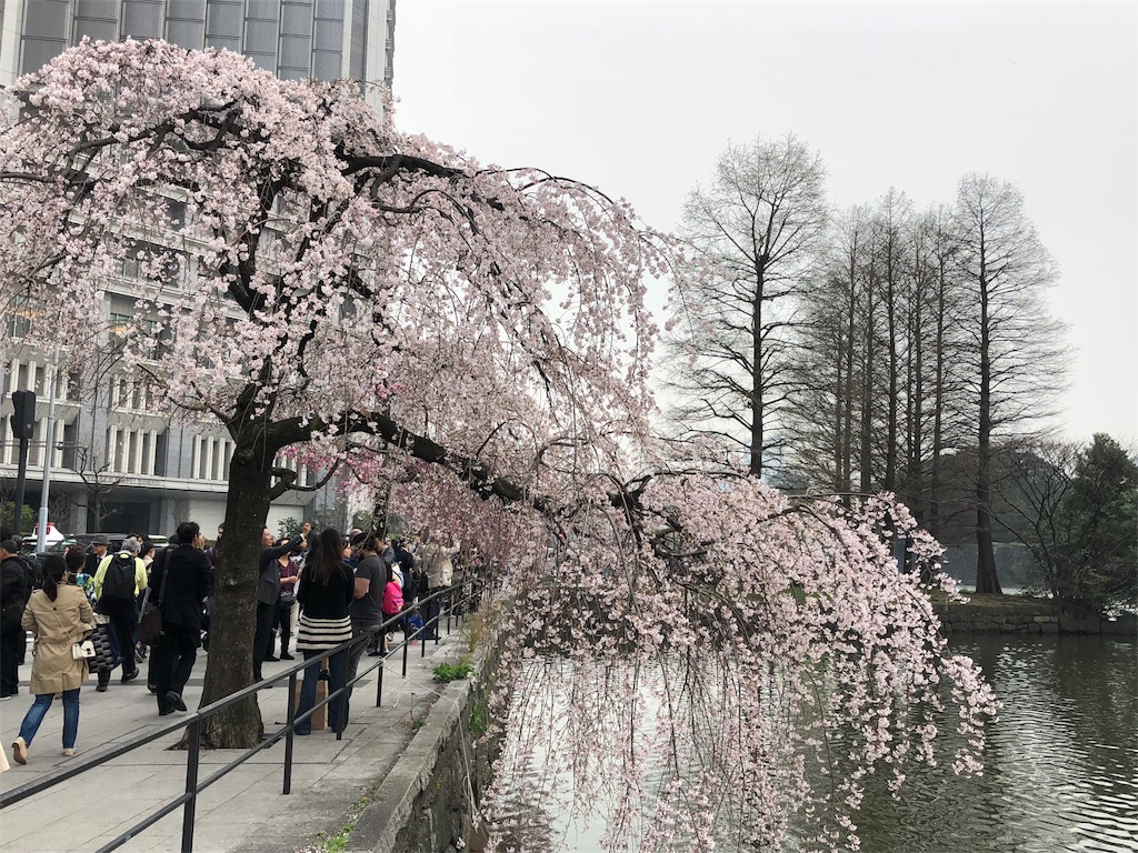 f:id:megmikke:20180402221240j:image