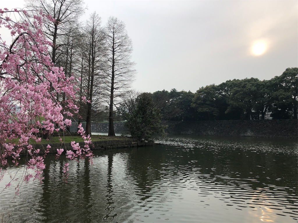 f:id:megmikke:20180402221318j:image