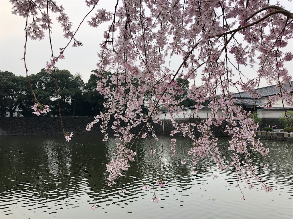 f:id:megmikke:20180402221354j:image