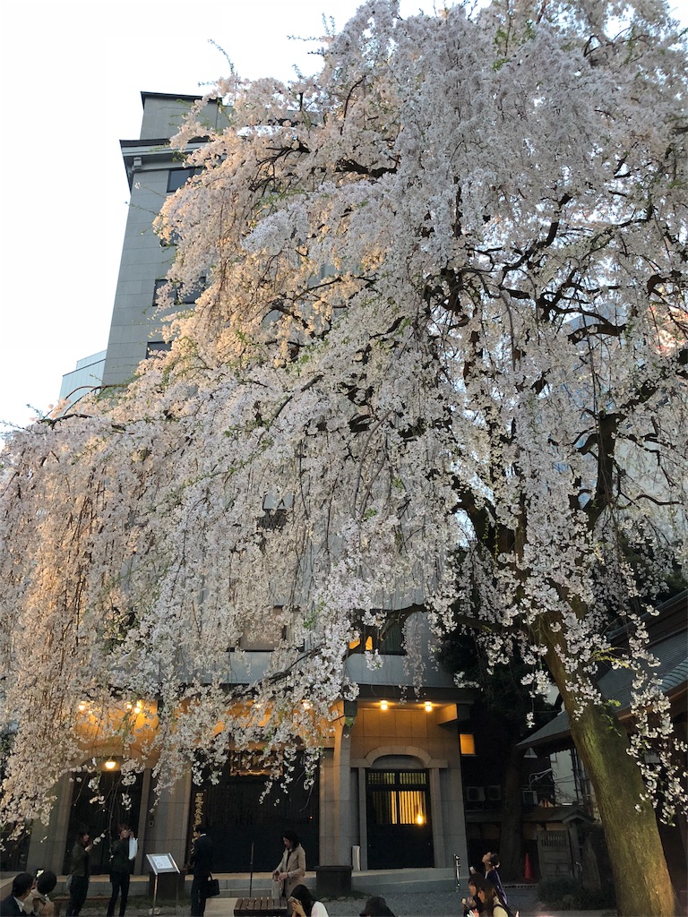 f:id:megmikke:20180403234849j:image