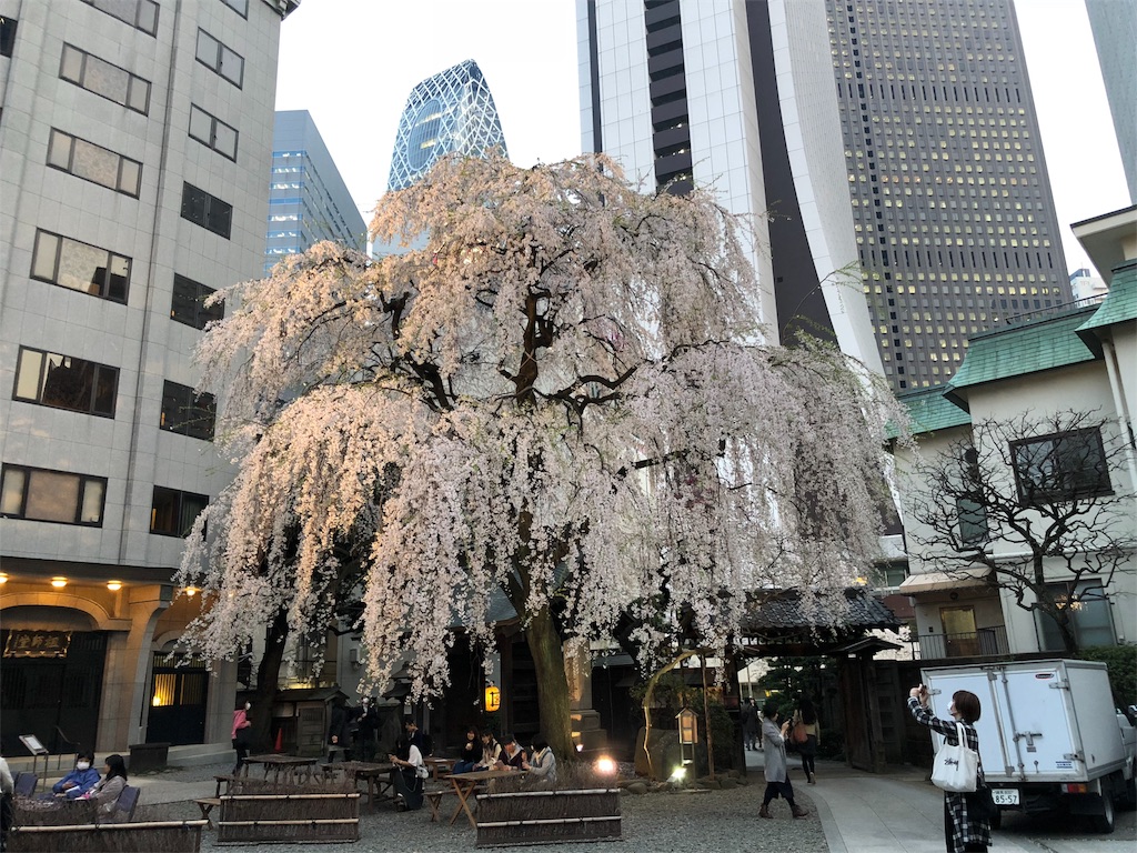 f:id:megmikke:20180403235611j:image